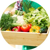 Vegetales 100% organicos